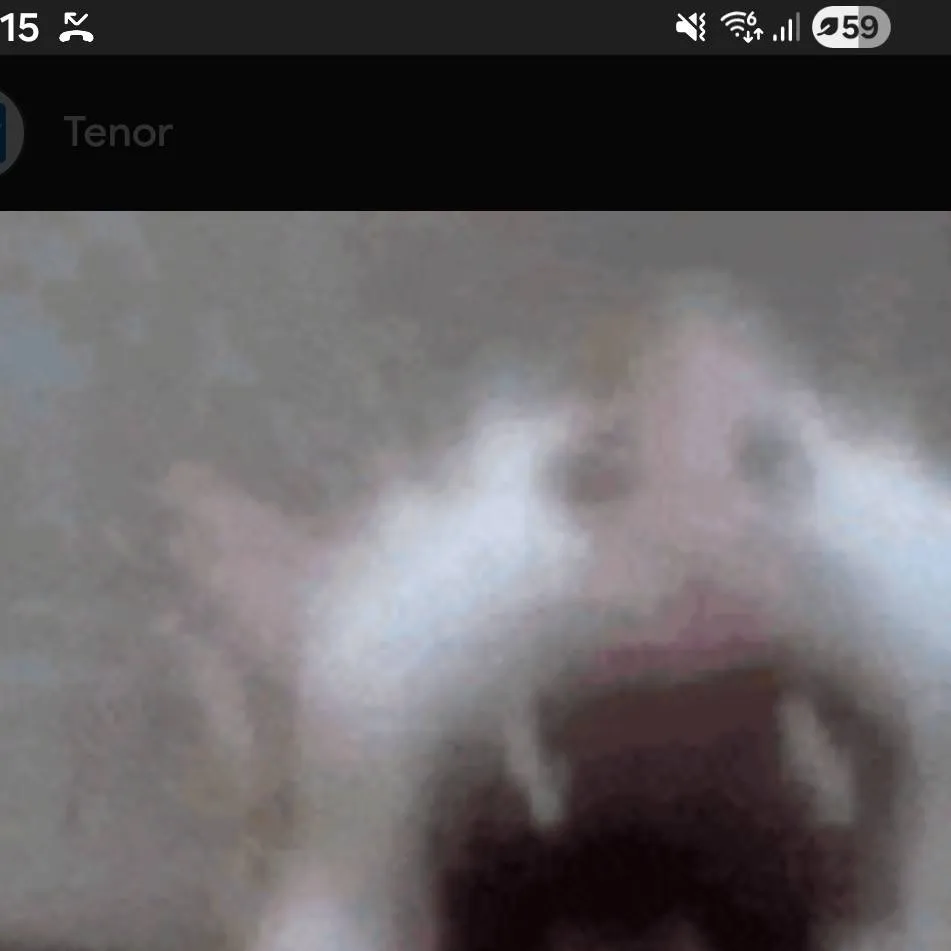 chat with ai character: Fr now