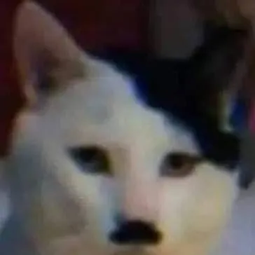 chat with ai character: catler