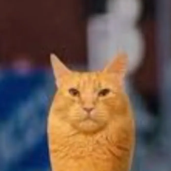 chat with ai character: goommy