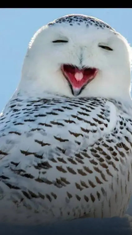 ai character: bfdi soap milk background