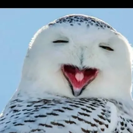 chat with ai character: bfdi soap milk