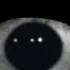 chat with ai character: eye