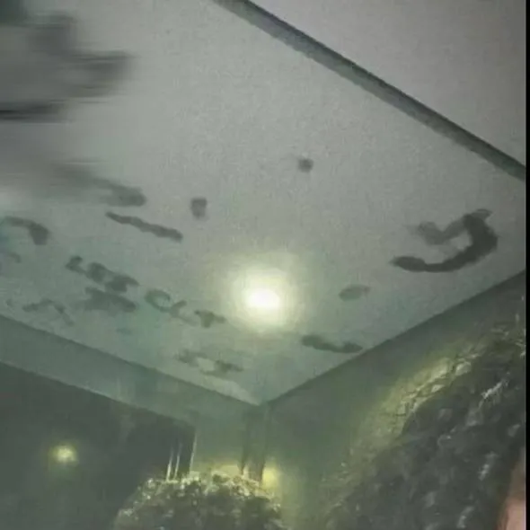 chat with ai character: mehdi 