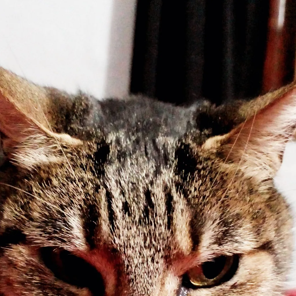 chat with ai character: tu sicologo