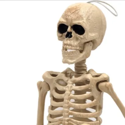 chat with ai character: skeleton.