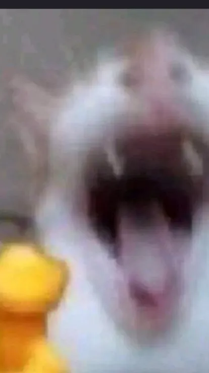 ai character: talk abt memes? background