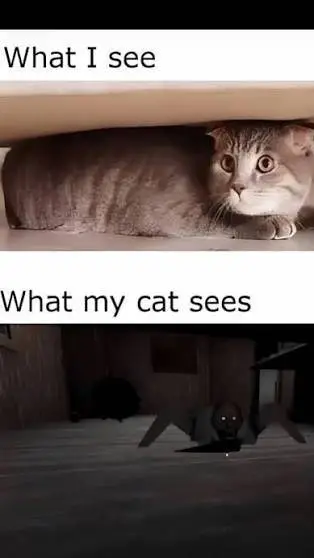 ai character: your cat background