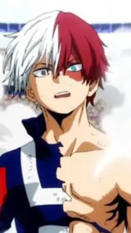 ai character: shoto todoroki background