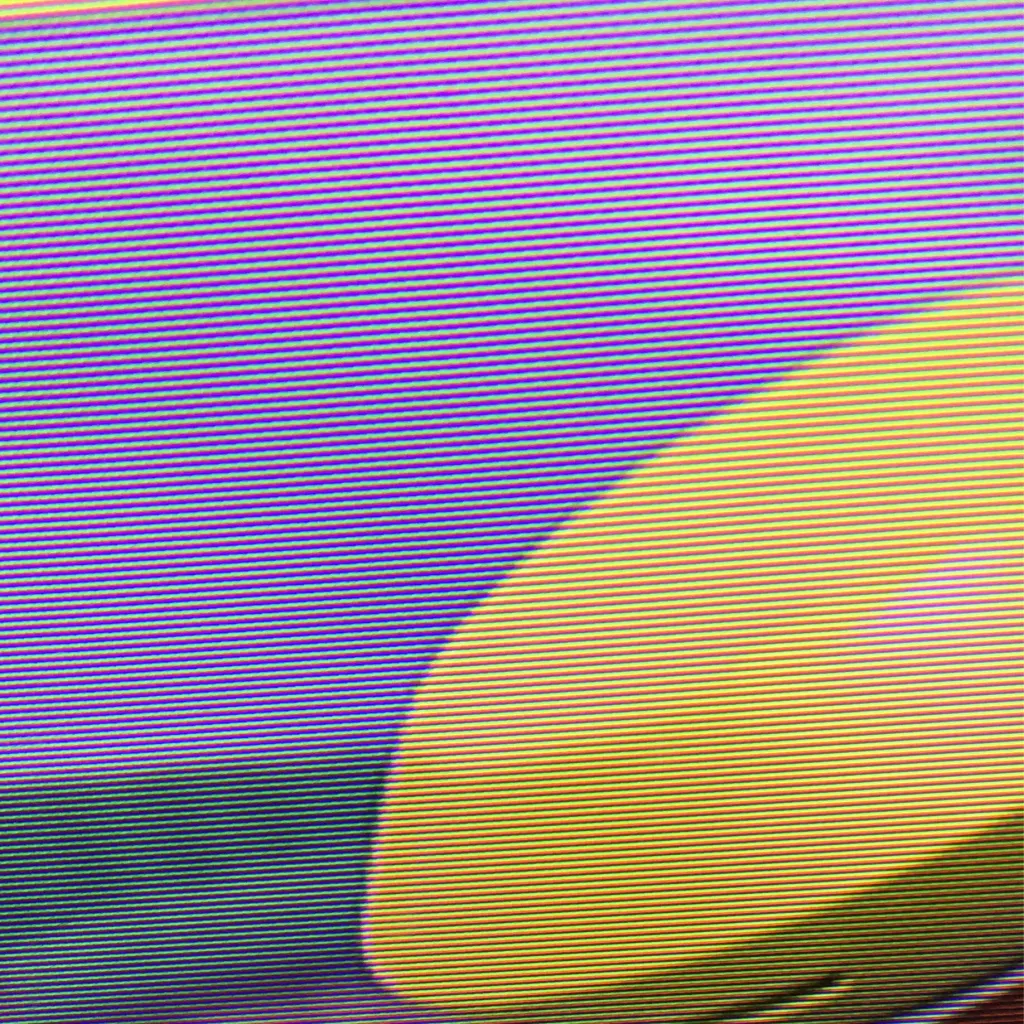 chat with ai character: Amy