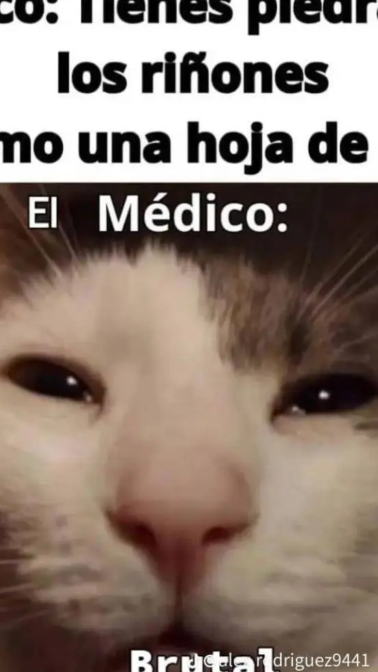 ai character: no she🥺 background