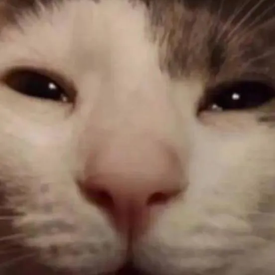 chat with ai character: no she🥺