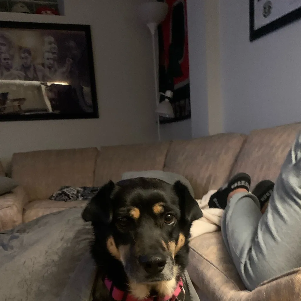 chat with ai character: IM BACK EVERYONE!!