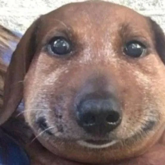 chat with ai character: evil dog