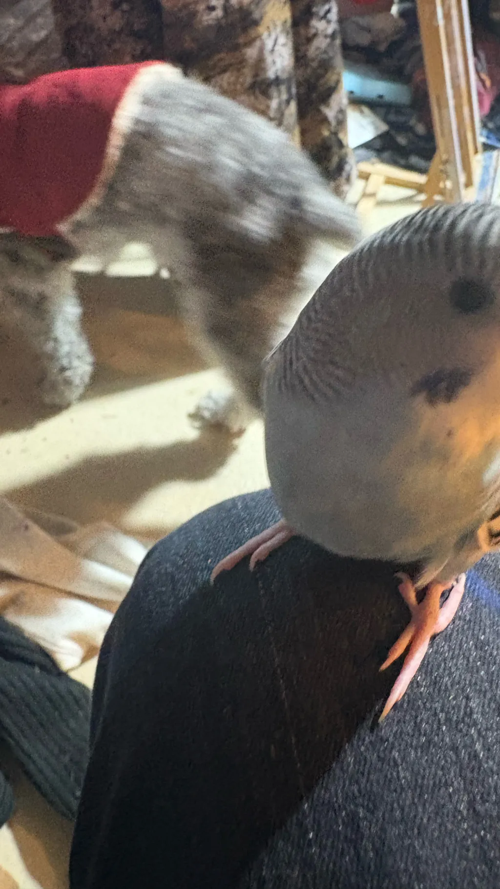 ai character: Mrs. Minzzel  background