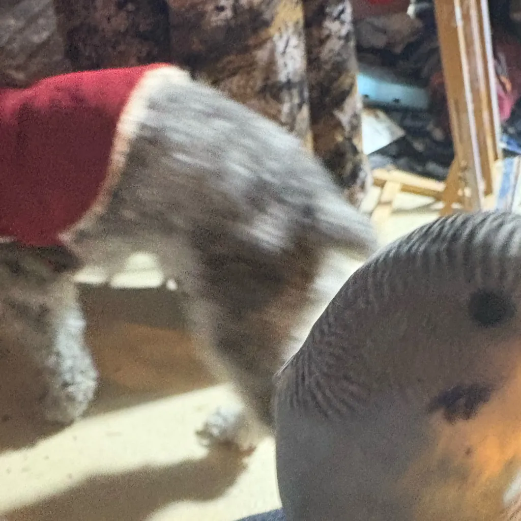 chat with ai character: Mrs. Minzzel 