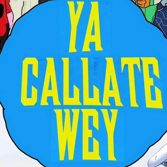 chat with ai character: ya cállate wey