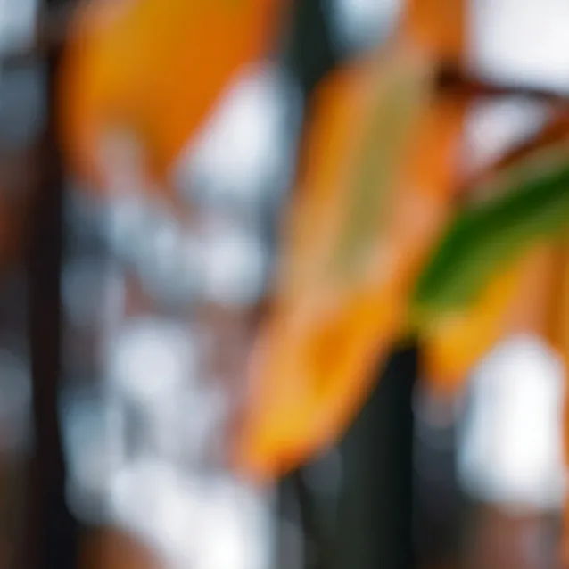 chat with ai character: A Moth