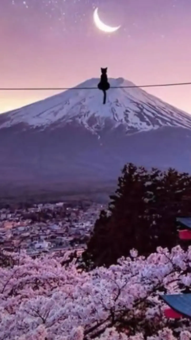 ai character: STOP HARCÈLEMENT  background