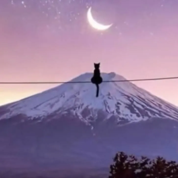 chat with ai character: STOP HARCÈLEMENT 