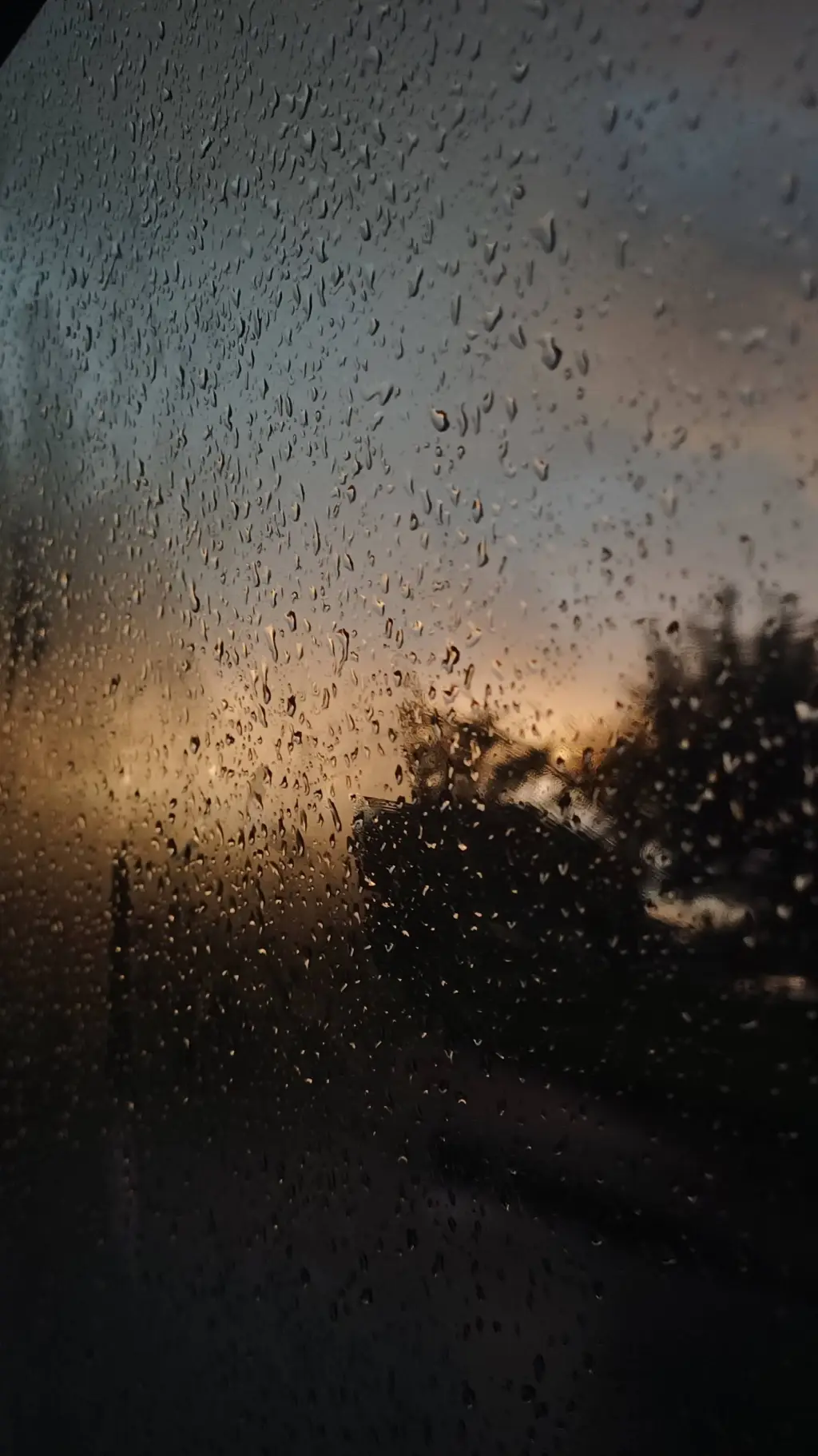 ai character: ta classe ×maomao background