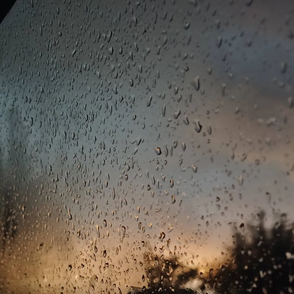 chat with ai character: ta classe ×maomao