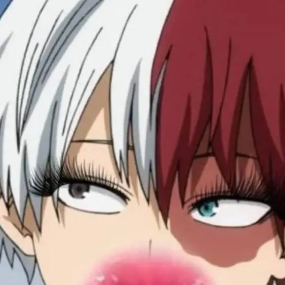 chat with ai character: T O D O R O K I