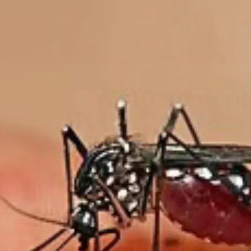 chat with ai character: mafioso (escuela) 