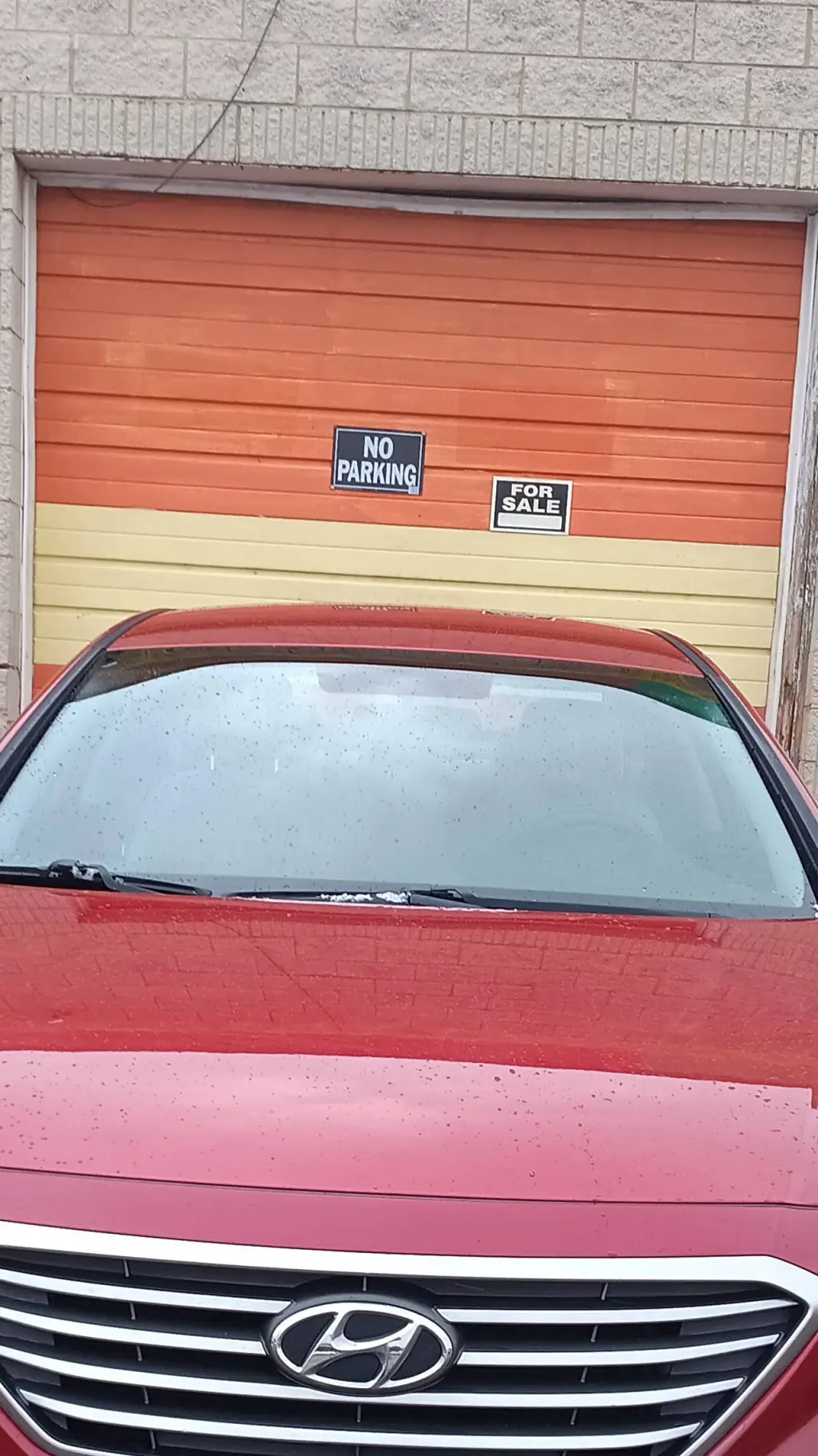 ai character: dandys world background