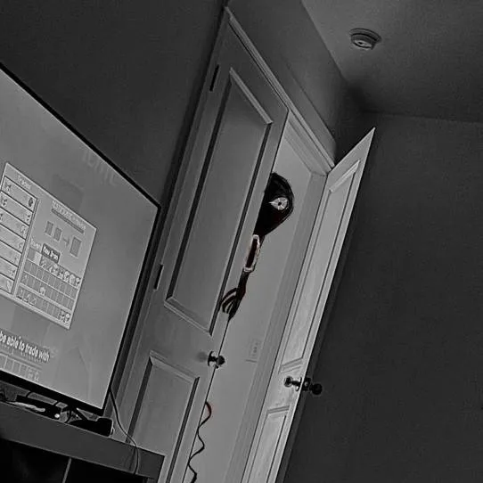 chat with ai character: mha normal day