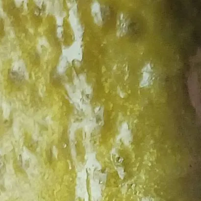 chat with ai character: mha