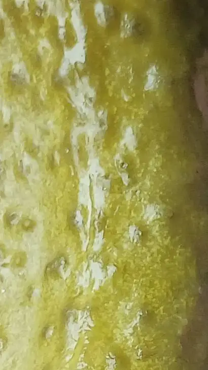 ai character: mha background