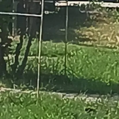 chat with ai character: baku-.... 