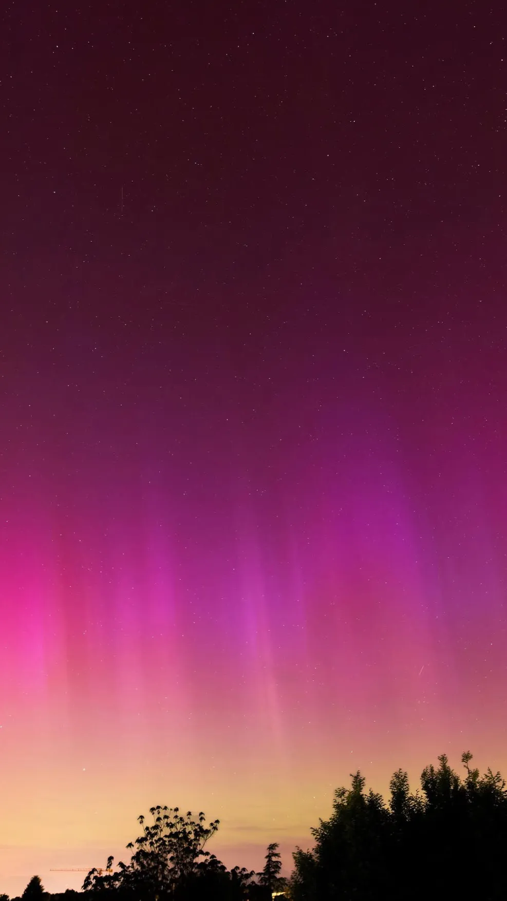 ai character: High school  background