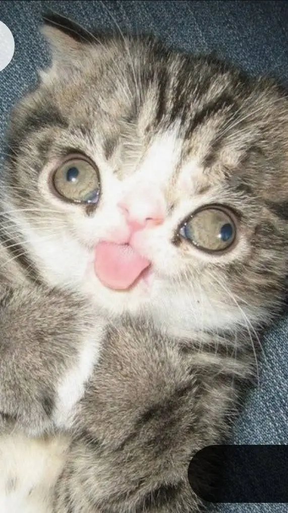 ai character: robin background