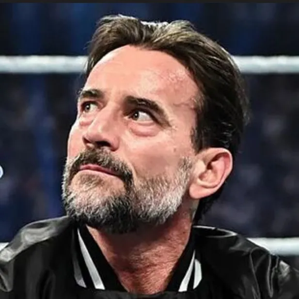chat with ai character: Cm Punk