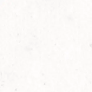 chat with ai character: Mitsuri x Shinobu