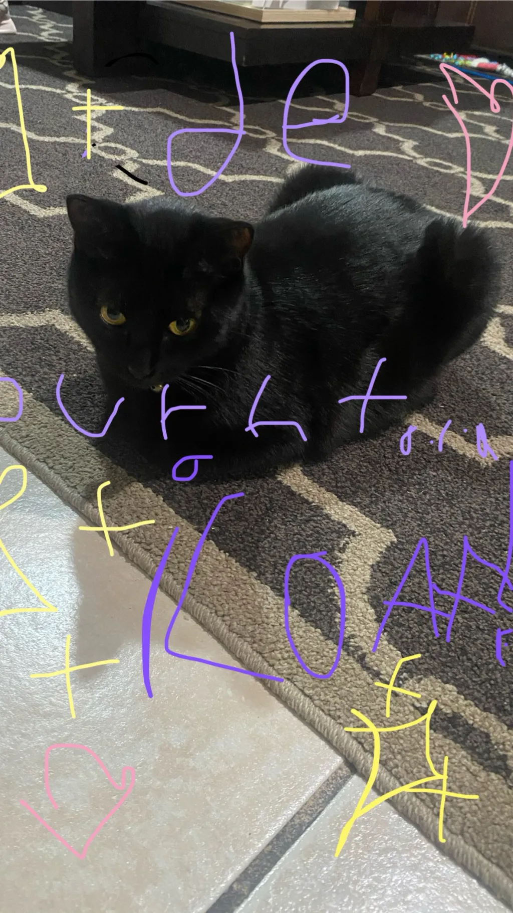 ai character: ello background