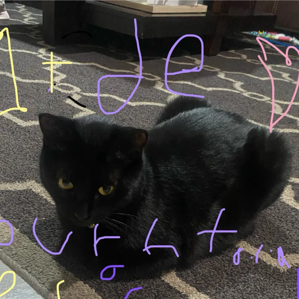 chat with ai character: ello