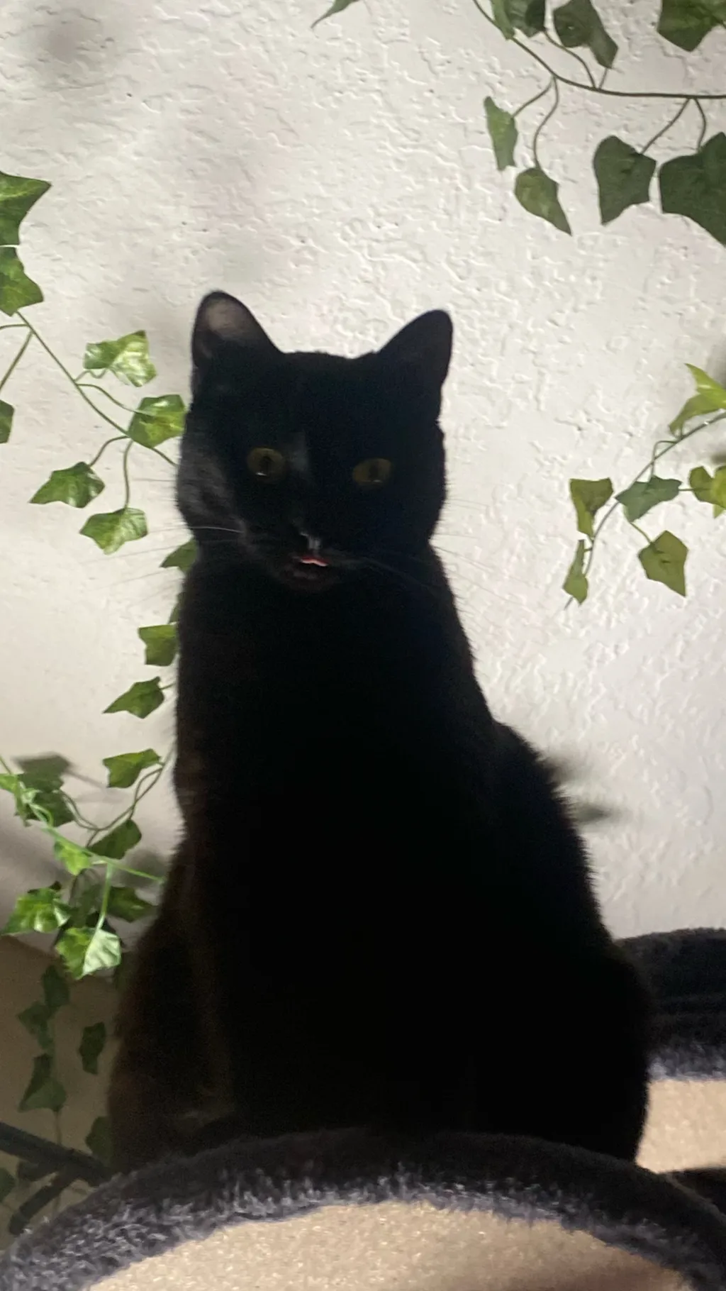 ai character: Tea background