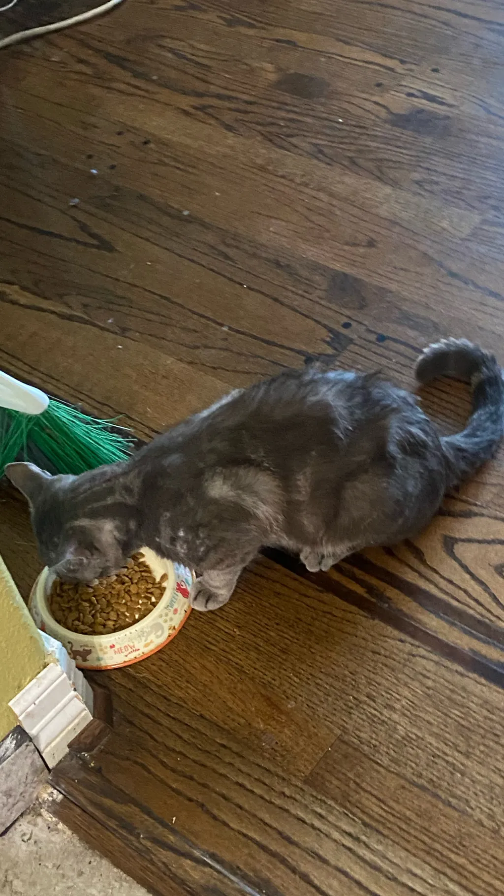 ai character: ~FPE~ background