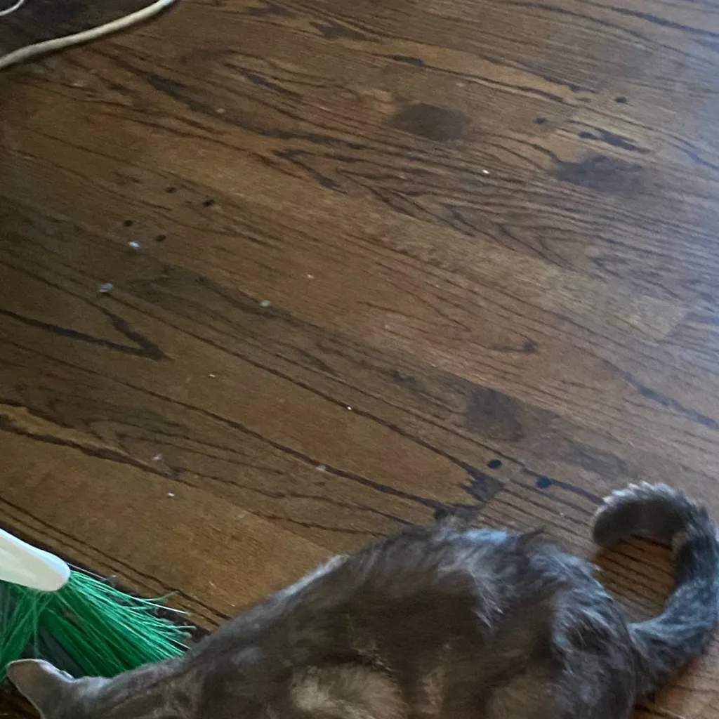 chat with ai character: ~FPE~