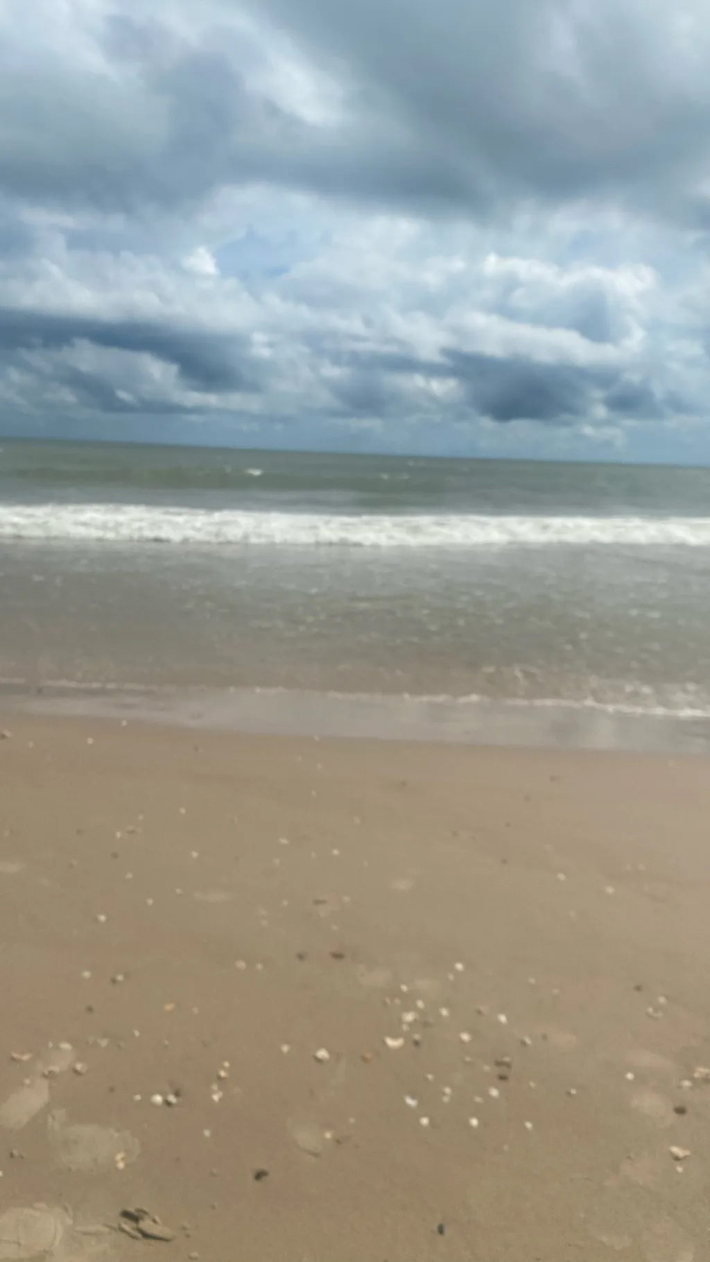 ai character: K,O,And C! background