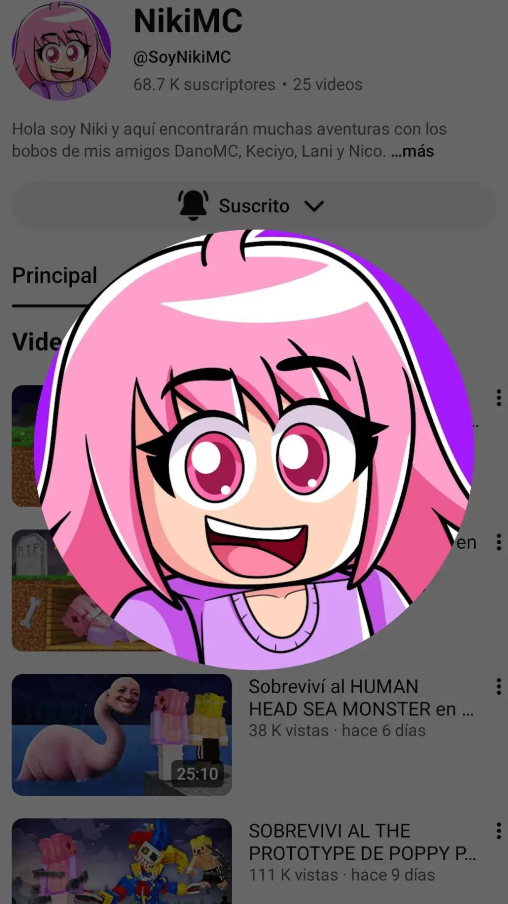 ai character: NikiMC background