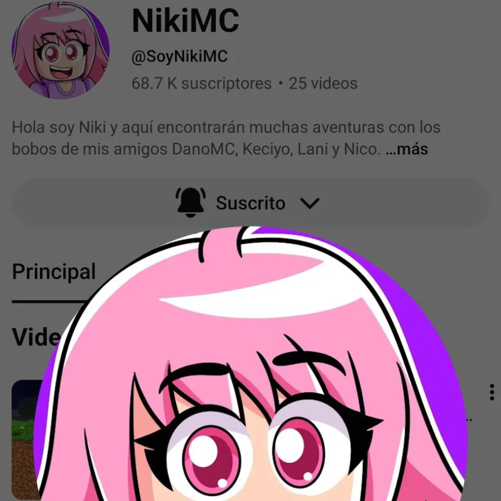 chat with ai character: NikiMC