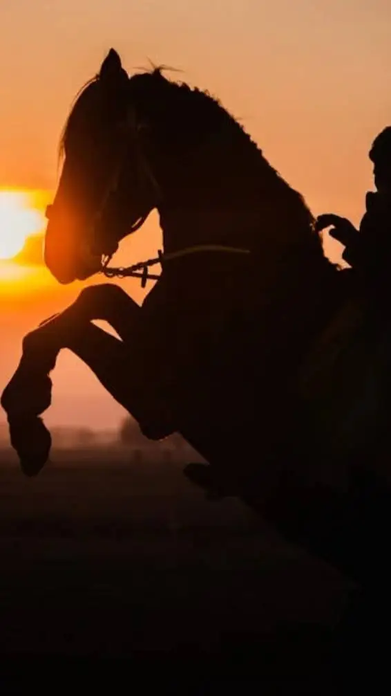 ai character: 30 Jours au ranch background