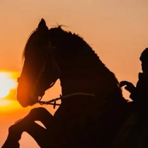 chat with ai character: 30 Jours au ranch