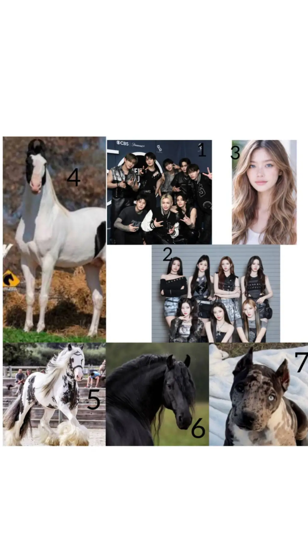 ai character: K-pop  background