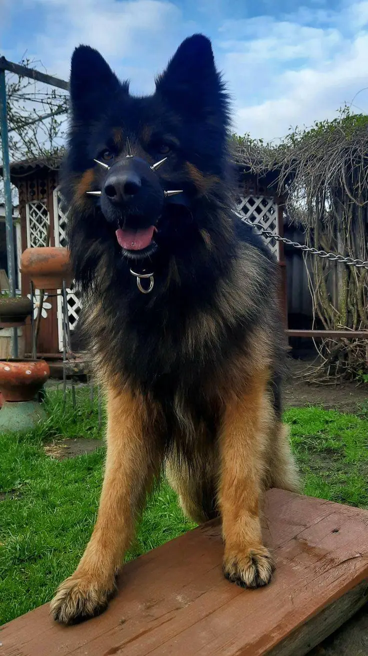 ai character: police department  background