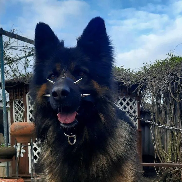 chat with ai character: police department 