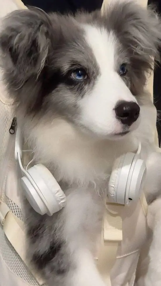 ai character: Never trust her.. background